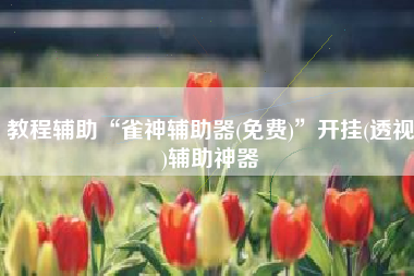 教程辅助“雀神辅助器(免费)”开挂(透视)辅助神器