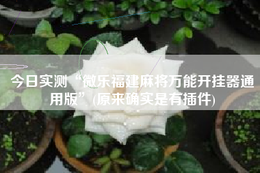 今日实测“微乐福建麻将万能开挂器通用版	”(原来确实是有插件)