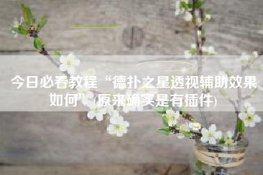 今日必看教程“德扑之星透视辅助效果如何	”(原来确实是有插件)