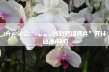 3分钟学会“waapoke辅助透视插件	”开挂(透视)辅助
