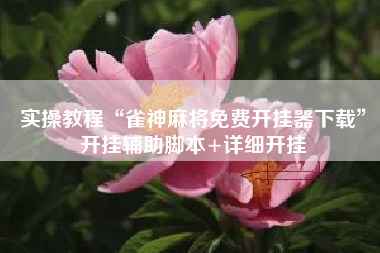 实操教程“雀神麻将免费开挂器下载	”开挂辅助脚本+详细开挂