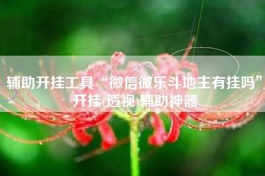 辅助开挂工具“微信微乐斗地主有挂吗	”开挂(透视)辅助神器