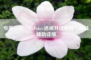 专家分析“WePoker透视开挂教程”开挂辅助详细
