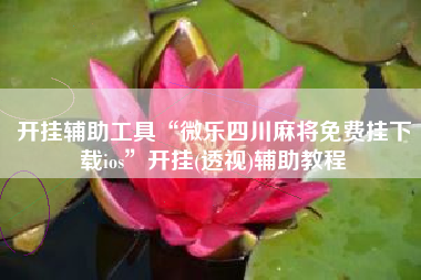 开挂辅助工具“微乐四川麻将免费挂下载ios	”开挂(透视)辅助教程