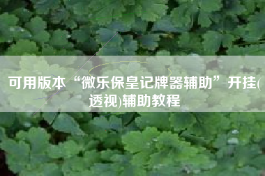 可用版本“微乐保皇记牌器辅助”开挂(透视)辅助教程