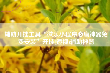 辅助开挂工具“微乐小程序必赢神器免费安装	”开挂(透视)辅助神器