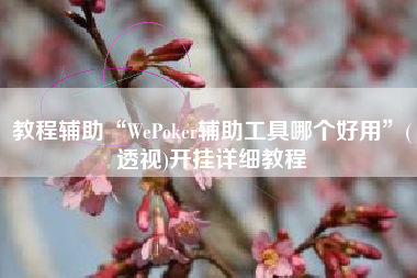 教程辅助“WePoker辅助工具哪个好用”(透视)开挂详细教程