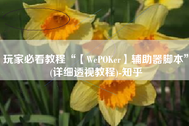 玩家必看教程“【WePOKer】辅助器脚本	”(详细透视教程)-知乎