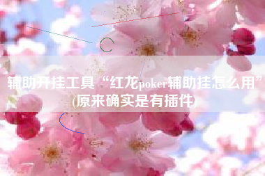 辅助开挂工具“红龙poker辅助挂怎么用”(原来确实是有插件)