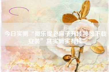 今日实测“微乐捉老麻子开挂神器下载安装”其实确实有挂