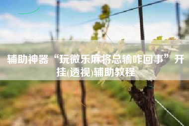 辅助神器“玩微乐麻将总输咋回事	”开挂(透视)辅助教程