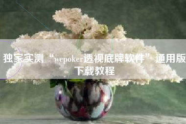 独家实测“wepoker透视底牌软件”通用版下载教程