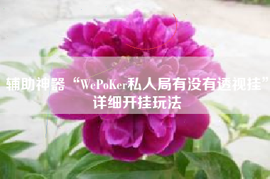 辅助神器“WePoKer私人局有没有透视挂”详细开挂玩法