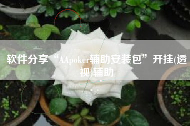 软件分享“AApoker辅助安装包”开挂(透视)辅助