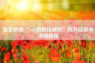 指定教程“wpk透视挂辅助	”附开挂脚本详细教程