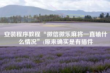 安装程序教程“微信微乐麻将一直输什么情况”(原来确实是有插件