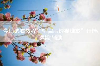 今日必看教程“Wepoker透视脚本	”开挂(透视)辅助