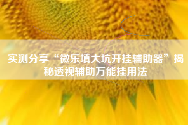 实测分享“微乐填大坑开挂辅助器”揭秘透视辅助万能挂用法