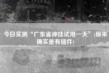 今日实测“广东雀神挂试用一天	”(原来确实是有插件)