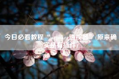 今日必看教程“wepoker透视器	”(原来确实是有插件)