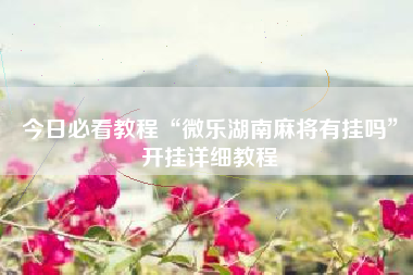 今日必看教程“微乐湖南麻将有挂吗	”开挂详细教程