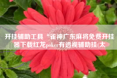 开挂辅助工具“雀神广东麻将免费开挂器下载红龙poker有透视辅助挂(太