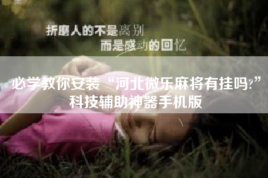 必学教你安装“河北微乐麻将有挂吗?”科技辅助神器手机版