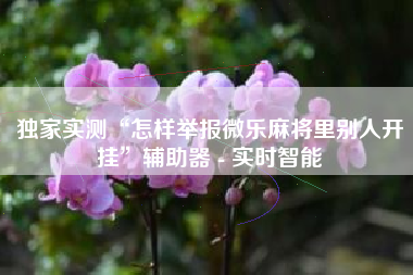 独家实测“怎样举报微乐麻将里别人开挂”辅助器 - 实时智能