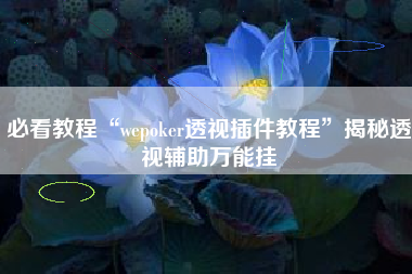 必看教程“wepoker透视插件教程	”揭秘透视辅助万能挂