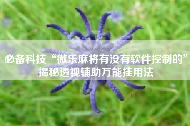必备科技“微乐麻将有没有软件控制的”揭秘透视辅助万能挂用法