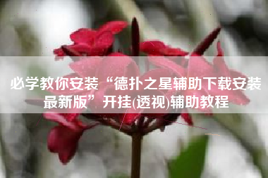 必学教你安装“德扑之星辅助下载安装最新版”开挂(透视)辅助教程