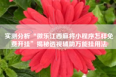 实测分析“微乐江西麻将小程序怎样免费开挂”揭秘透视辅助万能挂用法
