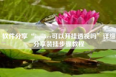 软件分享“aapoker可以开挂透视吗”详细分享装挂步骤教程