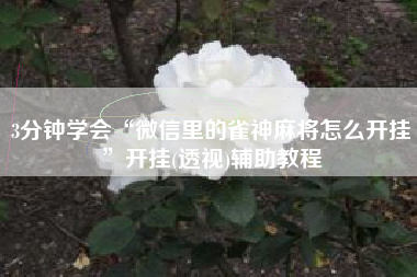 3分钟学会“微信里的雀神麻将怎么开挂”开挂(透视)辅助教程
