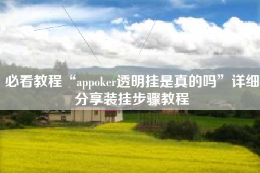 必看教程“appoker透明挂是真的吗”详细分享装挂步骤教程