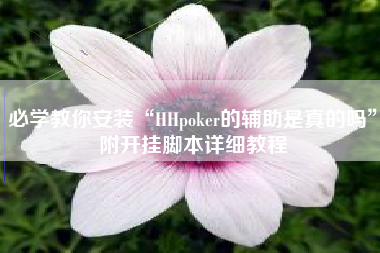 必学教你安装“HHpoker的辅助是真的吗”附开挂脚本详细教程