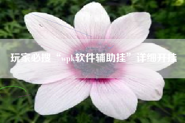 玩家必搜“wpk软件辅助挂	”详细开挂
