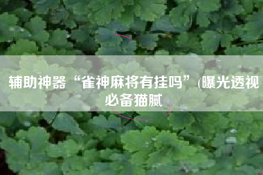 辅助神器“雀神麻将有挂吗”(曝光透视必备猫腻