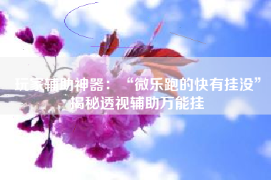 玩家辅助神器：“微乐跑的快有挂没	”揭秘透视辅助万能挂