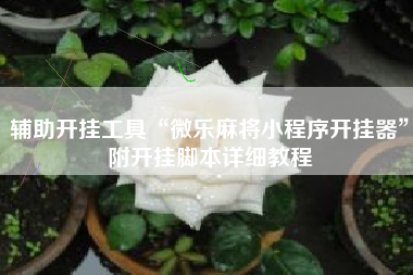 辅助开挂工具“微乐麻将小程序开挂器”附开挂脚本详细教程