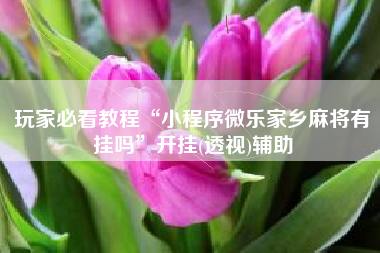 玩家必看教程“小程序微乐家乡麻将有挂吗”开挂(透视)辅助