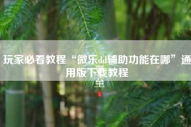 玩家必看教程“微乐dd辅助功能在哪”通用版下载教程