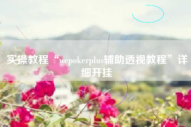 实操教程“wepokerplus辅助透视教程”详细开挂