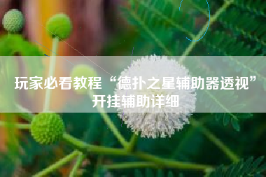 玩家必看教程“德扑之星辅助器透视	”开挂辅助详细