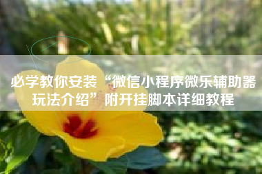 必学教你安装“微信小程序微乐辅助器玩法介绍”附开挂脚本详细教程