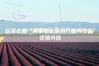 玩家必搜“内蒙微乐麻将万能开挂器	”详细开挂