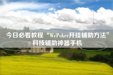 今日必看教程“WePoker开挂辅助方法”科技辅助神器手机