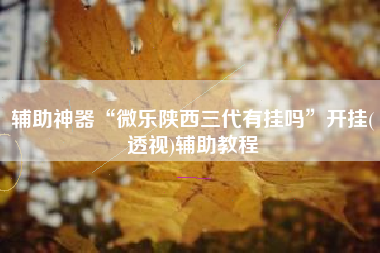 辅助神器“微乐陕西三代有挂吗”开挂(透视)辅助教程