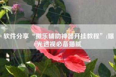 软件分享“微乐辅助神器开挂教程	”(曝光透视必备猫腻