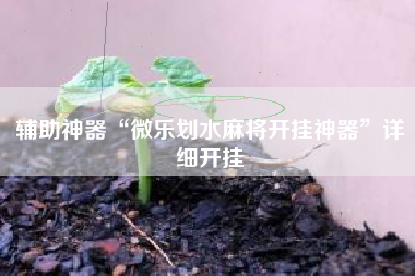 辅助神器“微乐划水麻将开挂神器”详细开挂
